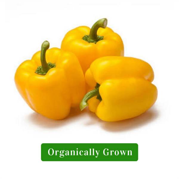 Organic Capsicum Yellow